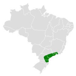 Distribución geográfica del ticotico cejipálido chico.