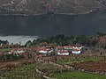 Compostela vista dende Ludeiros