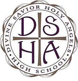 DSHA logo