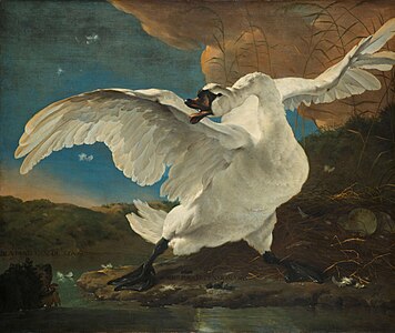 The Threatened Swan, by Jan Asselijn