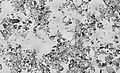 Image 15Diatomaceous earth, by Richard Wheeler (from Wikipedia:Featured pictures/Sciences/Geology)
