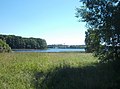 Insel im Horstsee bei Wermsdorf