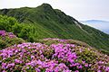 九重連山（大船山）