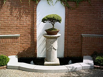 Bonsái en el Jardín Botánico de Misuri.