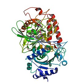 PDB rendering based on 1khb.