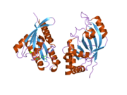 2bov: MOLECULAR RECOGNITION OF AN ADP-RIBOSYLATING CLOSTRIDIUM BOTULINUM C3 EXOENZYME BY RALA GTPASE