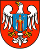 Mława County