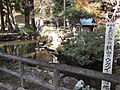 横山のウグイの池