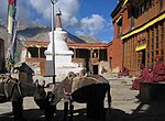 Rangdum Monastery (Shadup Dzamlinggyan)