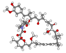 A 3D skeleton of the molecular structure consisting of over around fifty small grey spheres representing carbon, linked by grey tubes. Attached to these are white spheres representing hydrogen. There are a handful of red spheres representing oxygen, and one blue sphere, which is nitrogen.