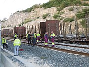 Tren descarrilado en Ponte Sampaio, 2014.