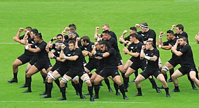 Photographie en couleur. Sur un terrain de rugby, des joueurs habillés en noir sont en train de réaliser une chorégraphie, ici en ayant les jambes fléchies et un bras levé, tandis que l'autre main frappe le coude de celui-ci.