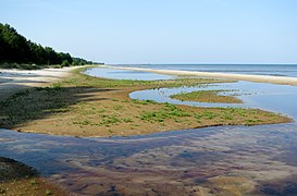 Riga Bay's western coast near cape Kolka