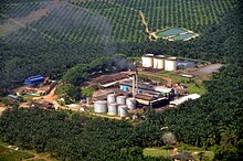 Aerial view of a palm oil plantation in Malaysia, showing oil plants and a processing plant