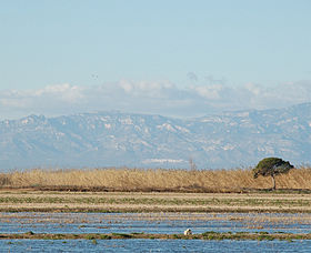 Baix Ebre