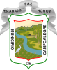 Coat of arms of Campoalegre