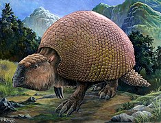 Glyptodon sp. (reconstruction)