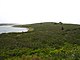 Green terrain of Grassy Island near the water