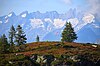 v. l. n. r. Fülbärg (niedriger), Grosses Grünhorn (im Hintergrund), Chamm, Fiescher Gabelhorn, Schönbühlhorn und Grosses Wannenhorn