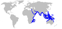 World map with blue shading along eastern Africa and Arabian Peninsula and further east to Mumbai, including through the Red Sea to the eastern extreme of the Mediterranean