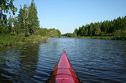 Piilisuon kohdalla Jaaranjoki levenee reilusti ja virtaus hidastuu ennen laskua Sääksjärveen.