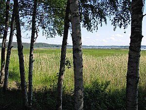 Le lac Kortejärvi à Urjala.