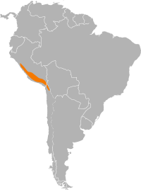 Distribución geográfica de la especie