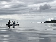 Kayaking off Little Cumbrae in the Clyde