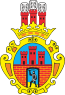 Blason de Radomsko