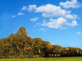 Image illustrative de l’article Parc Charles-Aznavour