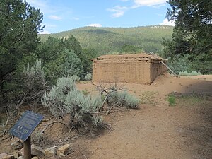 Pot Creek Cultural Site, in Carson Nation Forest, south of Taos