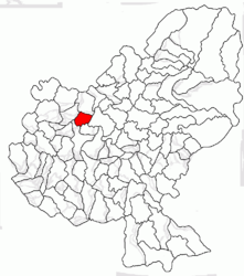 Location in Mureș County