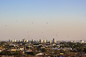 Rio Claro (São Paulo)