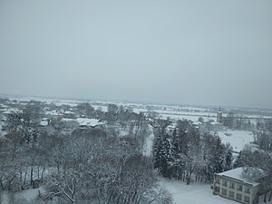 Вид на Тучин з вежі мобільного зв'язку.