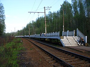 Вид в сторону Ладожского Озера