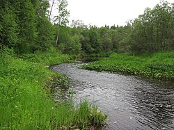 Перекат на реке Елюга