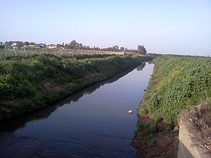 Wadi Qana stream, 2013