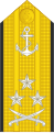 Vice admiral (Namibian Navy)
