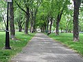 Alignement d'items, qui sont des arbres, sur deux colonnes.