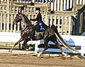 Trot but rather an odd and strung-out one for a Saddlebred, looks like the gal was just boogieing out of the class after winning it