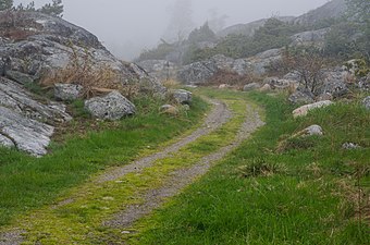 Landskap på Bullerön.