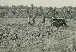 Trattore in uso all'azienda agricola Troya di Foggia