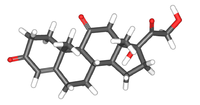 Image illustrative de l’article Cortisone