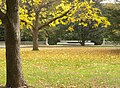 Edgerton Park with Brewster Fountain