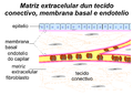 Miniatura da versión ás 23:28 do 4 de xaneiro de 2015