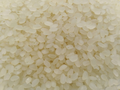 Aromatic japonica rice