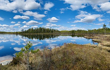 The lake Håvtjärnen