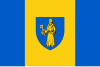 Flag of Lille