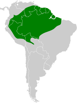 Distribución geográfica del hormiguerito gris.