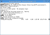 NcFTP downloading a file